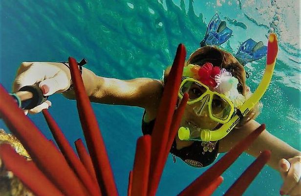 Molokini Crater Zodiac Adventure: Snorkel and Turtle Cove Swim