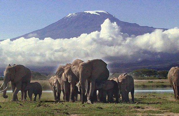 2 Days Amboseli National Park Safari- Guarantee Daily Departure