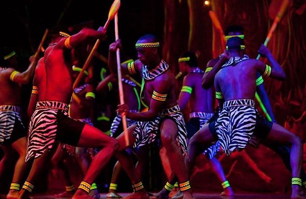 Safari Park Hotel Cat Dance and Dinner Experience
