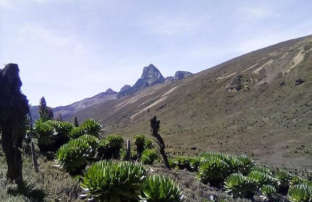 5 Days Mount Kenya Trekking Through Sirimoni-Chogoria Route