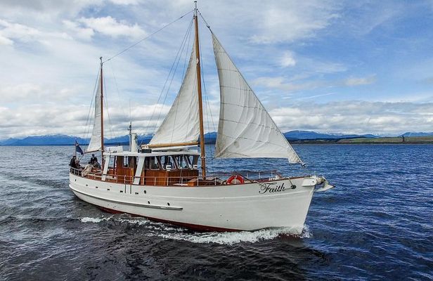 Champagne Sightseeing Cruise on Lake Te Anau