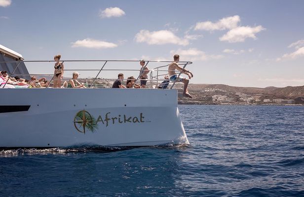 Afrikat Afternoon Cruise