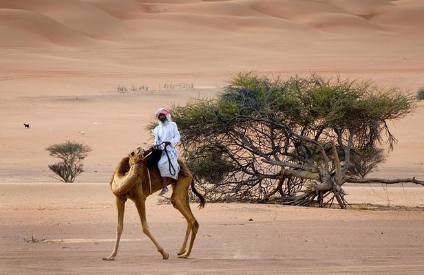 Wahiba Sands Desert with Wadi Bani Khalid Tour by 4X4