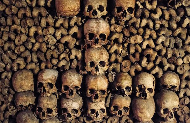  Paris Catacombs Tour
