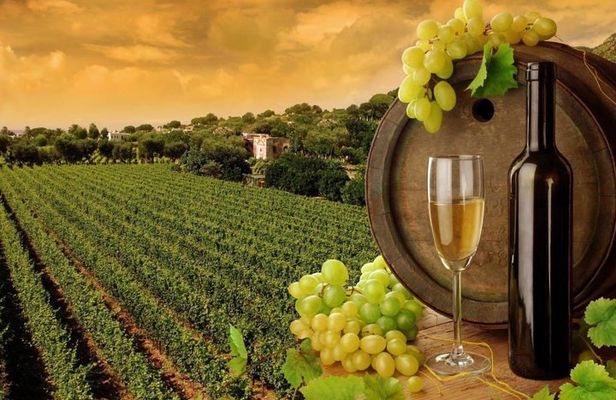 8hr-Private Wine Tour from SF & 1/2 Case of Californian wine.