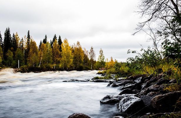 Explore the Wilderness (Summer & Autumn)