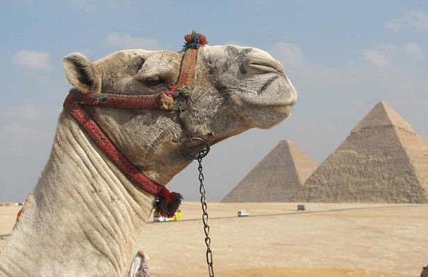 Private Journey :Grand Egyptian Museum & Giza Pyramids 