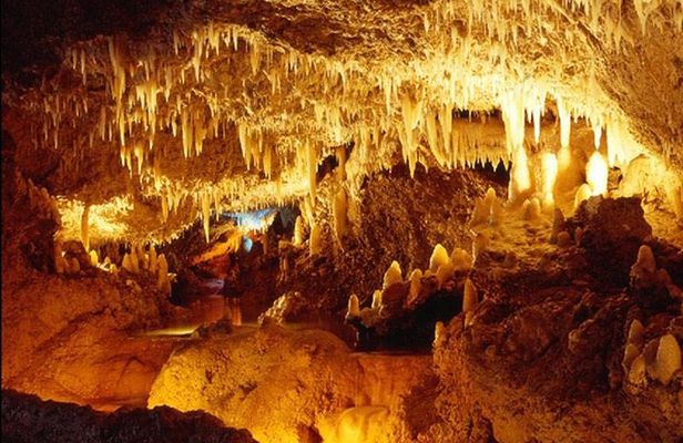 Harrison's Cave Tour from Bridgetown