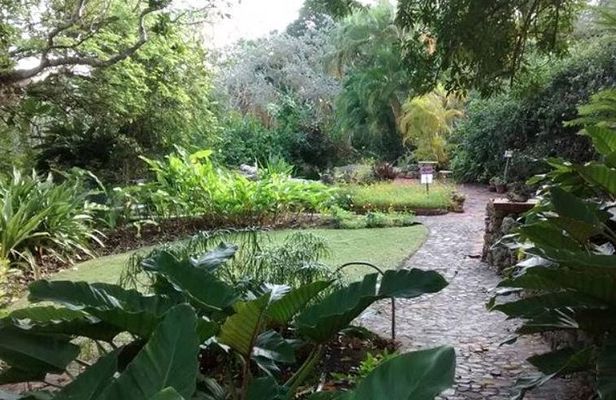 Garden Delight Full-Day Tour in Barbados