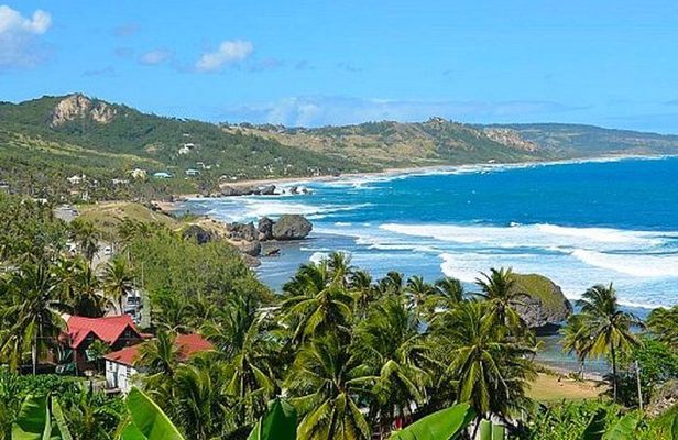 Barbados Island Tour with Lunch and Wildlife Sanctuary
