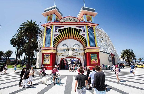 Private 8 Hour Melbourne Tour including Moonlit Sanctuary Visit.
