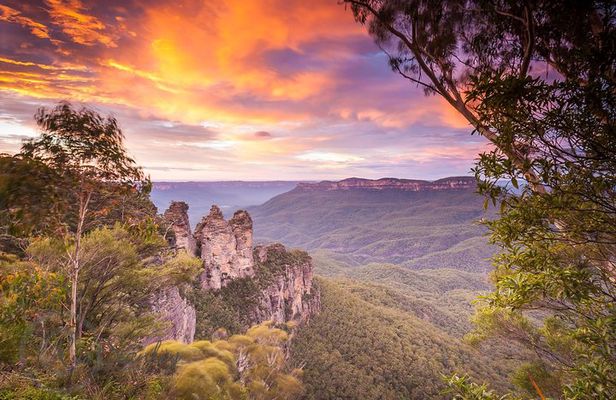 Fully Inclusive Blue Mountains Private Tour inc Scenic World & Featherdale Entry
