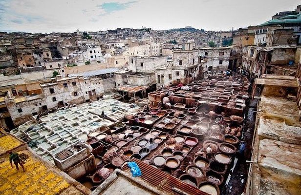 Fez Medina 4-Hour Guided Walking Tour