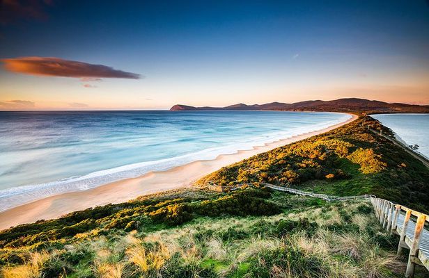 Full-Day Guided Bruny Island Tour from Hobart