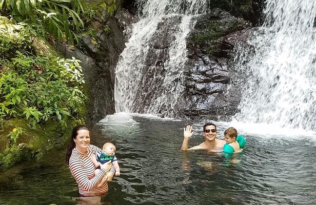 Sacred Rainforest and Archaeological Experience
