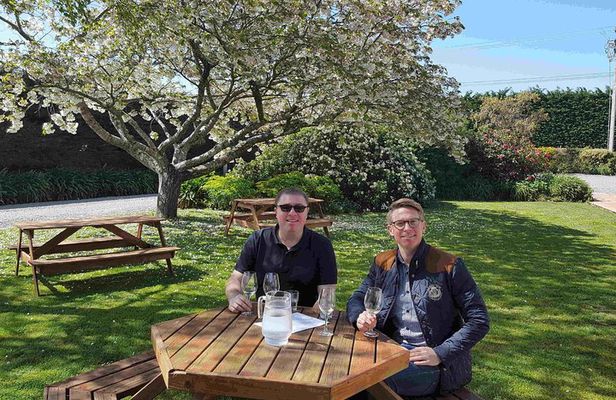 Half Day Martinborough Winery Tour from Wellington