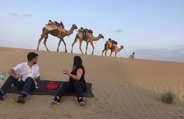 Half Day Camel Safari Sunset with Dinner Tour (Non Touristic)
