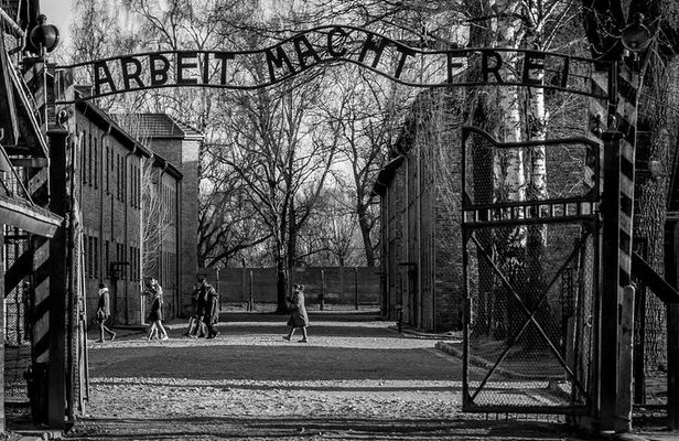 Krakow to Auschwitz Birkenau Guided Tour with Ticket Hotel Pickup