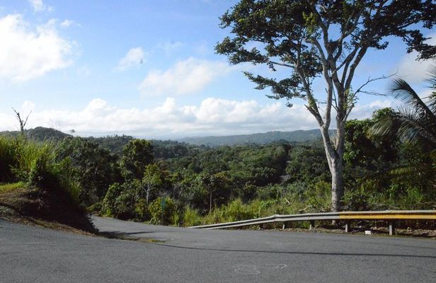 Half-Day Center of Puerto Rico Cultural Tour