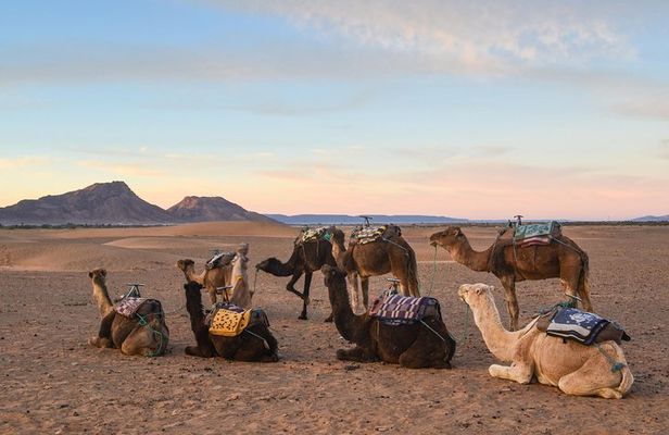 02 Days Marrakech - Ouarzazate - Zagora