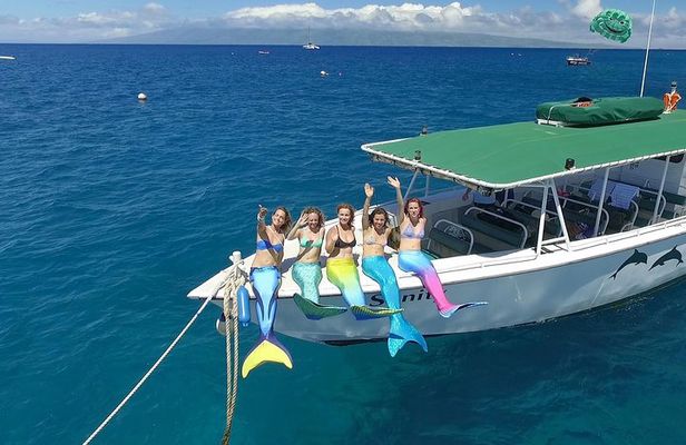 Private Charter Humpback Whale Watching & Dolphin Search