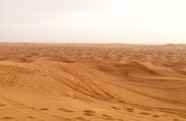 Dubai Red Dunes Desert Morning Adventure