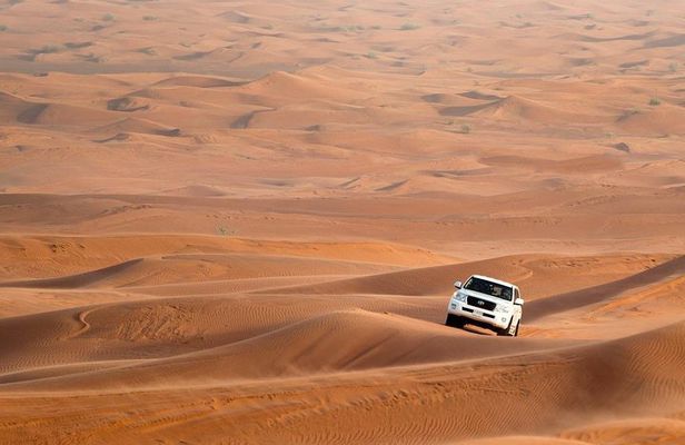 Combo: Morning Dubai City Tour And Evening Premium Desert Safari with Dinner 
