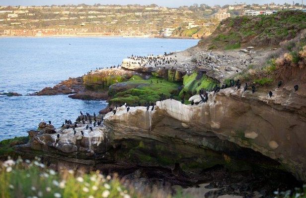 The Ultimate San Diego Tour