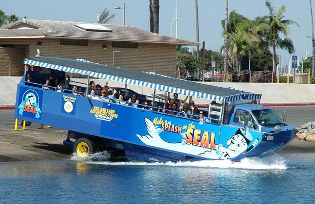 San Diego Shore Excursion: San Diego Seal Tour