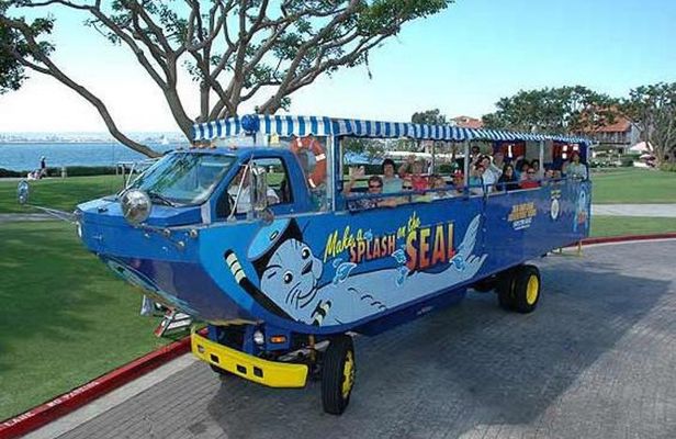 San Diego Seal Tour
