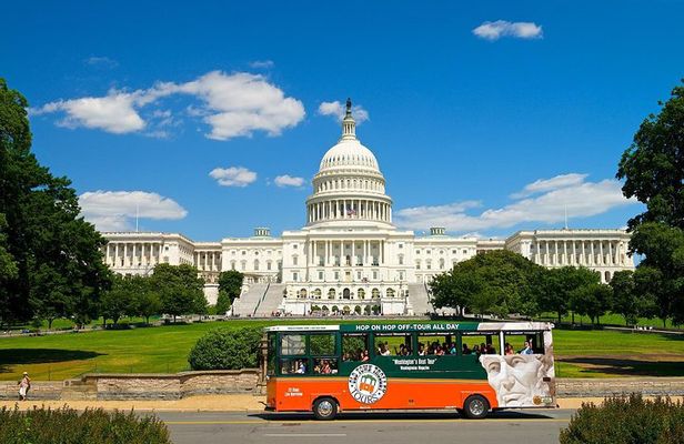 Washington DC Hop-On Hop-off Trolley Tour with 15 Stops