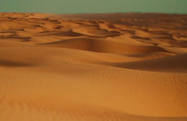 Desert Safari