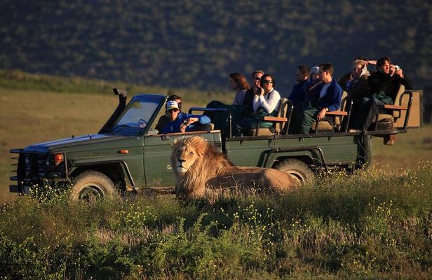 2 Day Safari Experience from Cape Town