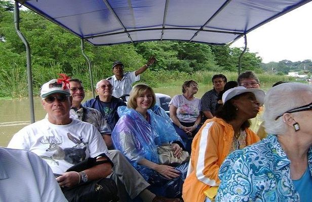 Tortuguero Canal Boat Tour: From Puerto Limon