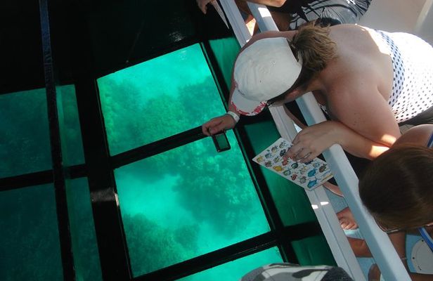 Glass-Bottom Boat Cruise from Waikoloa