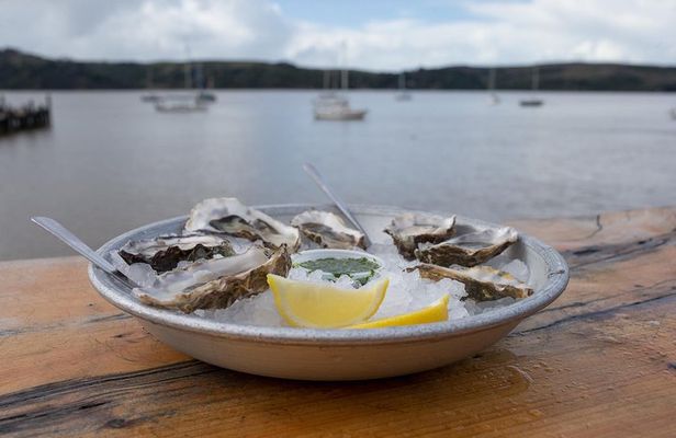 Sonoma Coast Tasting Tour: Cheese, Honey, Oysters, Wine and Oils