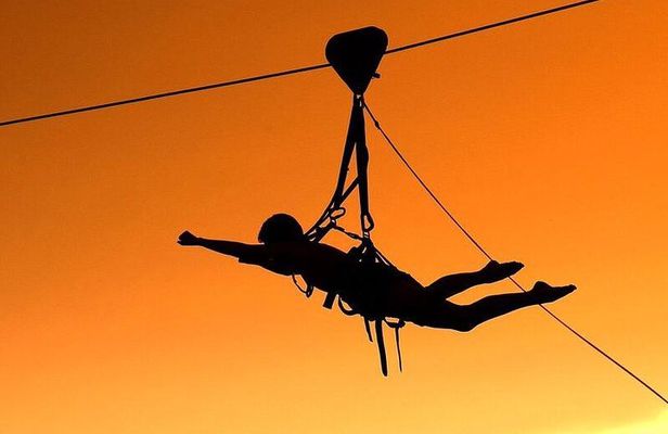 Flying Fox (Zimbabwe)