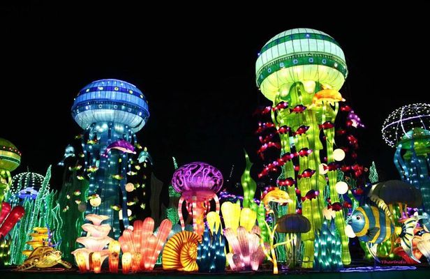 Glow Garden Ticket & Two Way Private Transfers