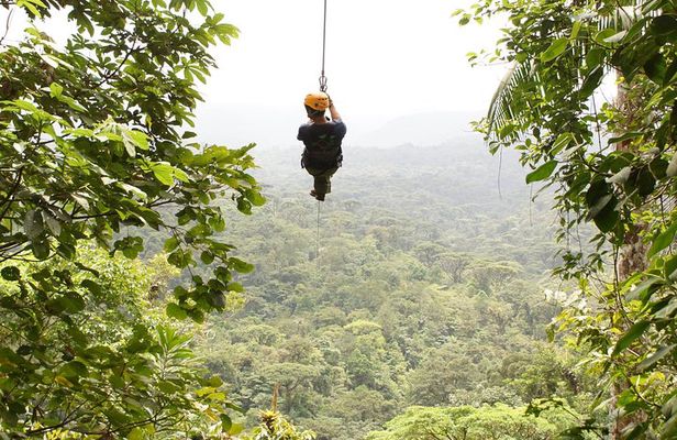 Canopy (Zip Line) - Half Day Pass Braulio Carrillo