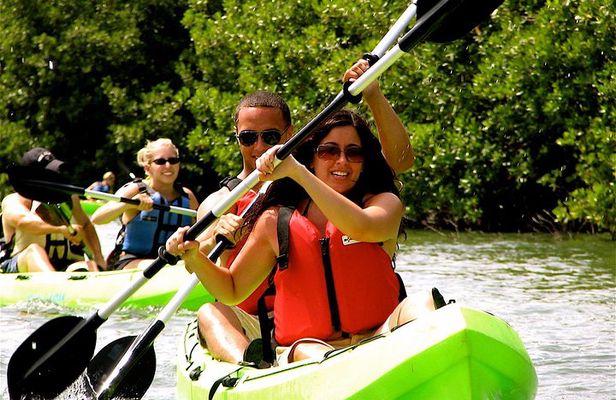 St Thomas Mangrove Lagoon Kayak and Snorkel Tour in the US Virgin Islands
