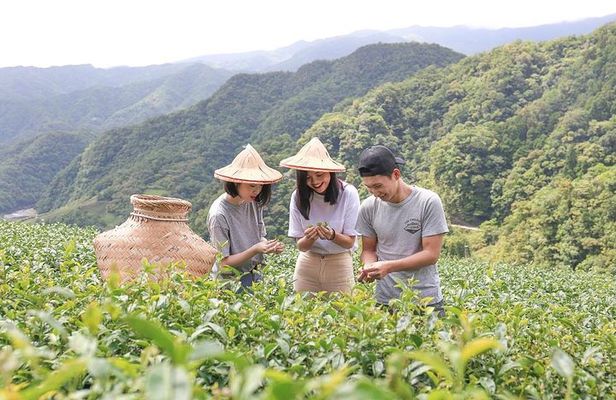 Private 1-Day Tea Experience in Taipei