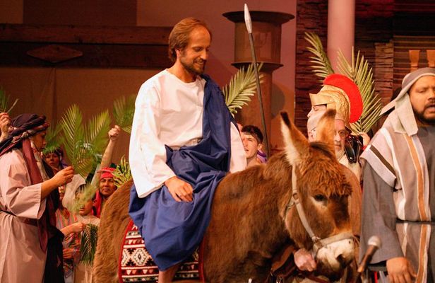Palm Sunday in Jerusalem: Mass at Bethpage and Via Dolorosa Procession with Transport from Tel Aviv