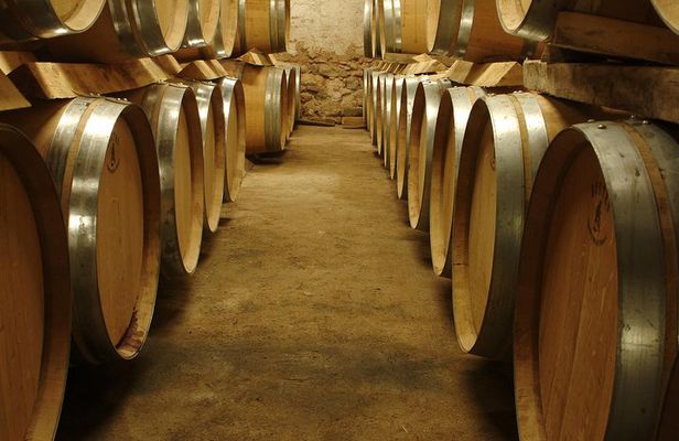 Marseille Shore Excursion - Full Day Wine Tour in Provence