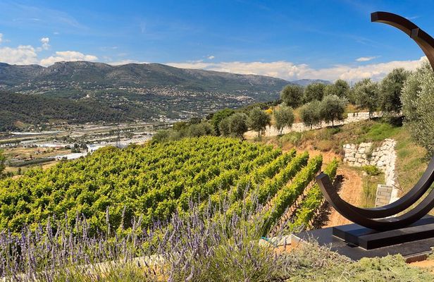 Full-day Wine Tour in Bellet & Saint-Paul de Vence from Nice