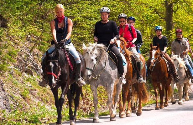 Scenic Horseback Riding Tour from San Juan