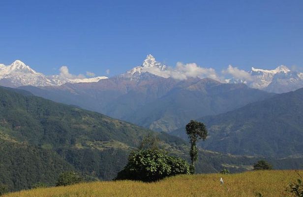 Annapurna Panorama trek
