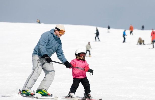 Private Ski Lesson or Snowboarding Lesson for 2 or 3 people