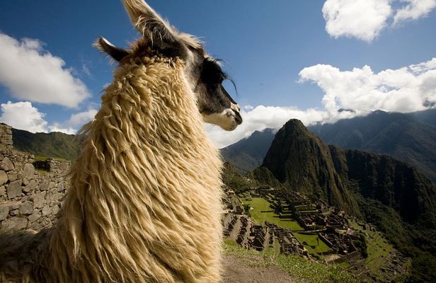 6-Days Exploring Cusco, Sacred Valley and Machu Picchu