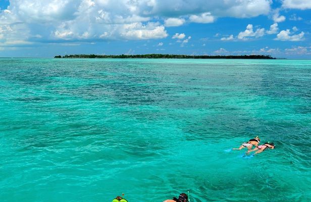 Key West Dolphin Watch and Snorkel Tour - Eco Adventure