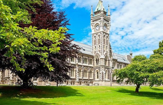 Dunedin City and Coastal Views 3-Hour Small-Group Guided Tour